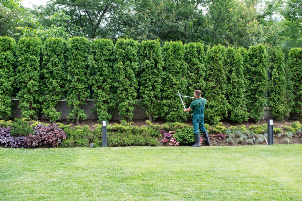 Lawn Drainage Solutions in Salem, VA